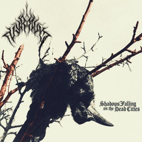 Shadows Falling on the Dead Cities