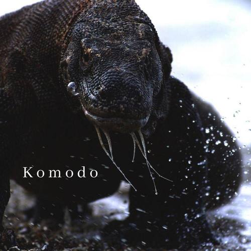 Komodo