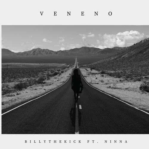 Veneno (feat. Ninna) [Original Mix]