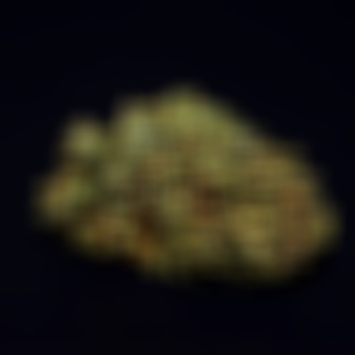 Hase für 6 (Explicit)