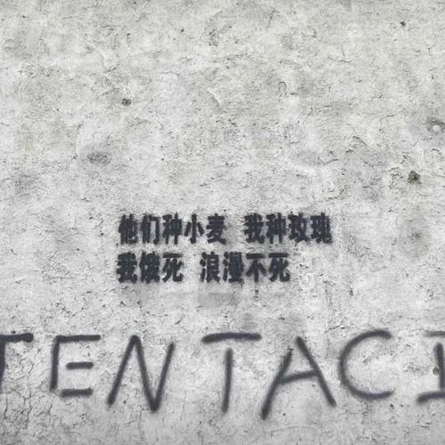《不要做低端感情里的福尔摩斯》