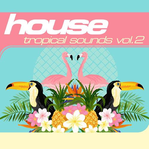 House: Tropical Sounds Vol. 2