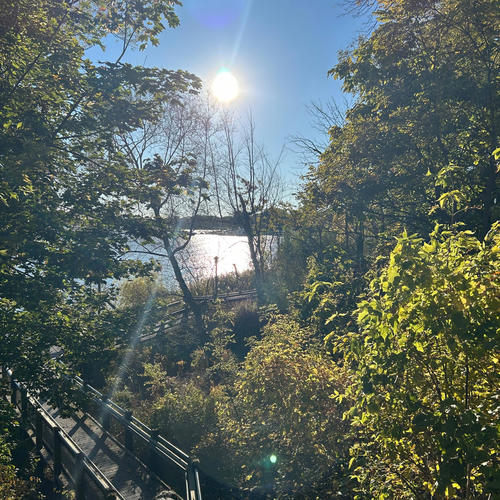 kellyrowland (Explicit)