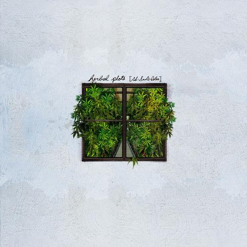 Herbal Plots (Ab-Soul's idea) (feat. Ab-Soul) [Explicit]