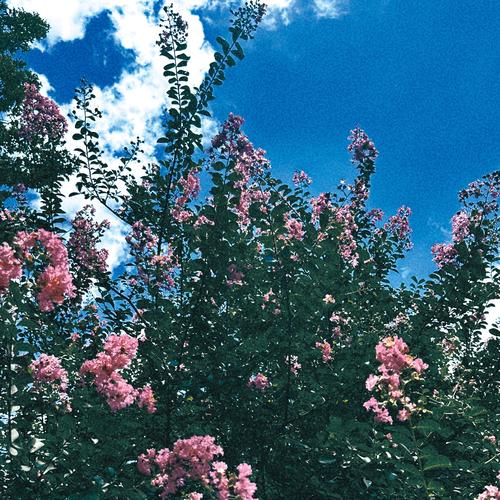 I Thought About Ending It Today