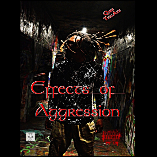 Effects of Aggression (Explicit)