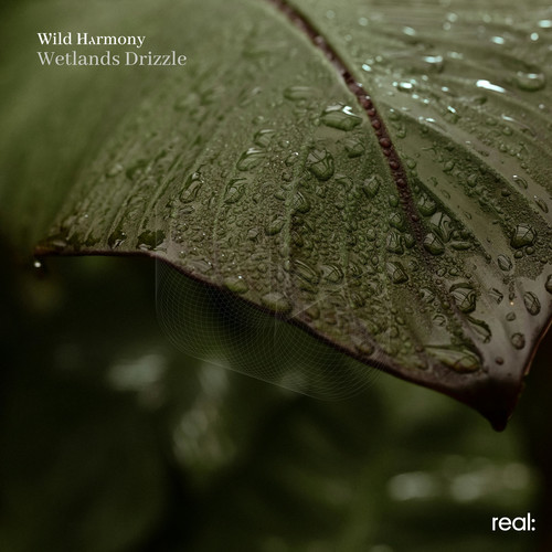 Wetlands Drizzle