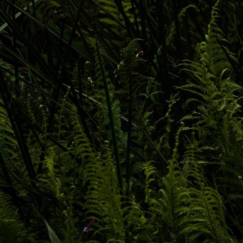 Afternoon Jam Sessions