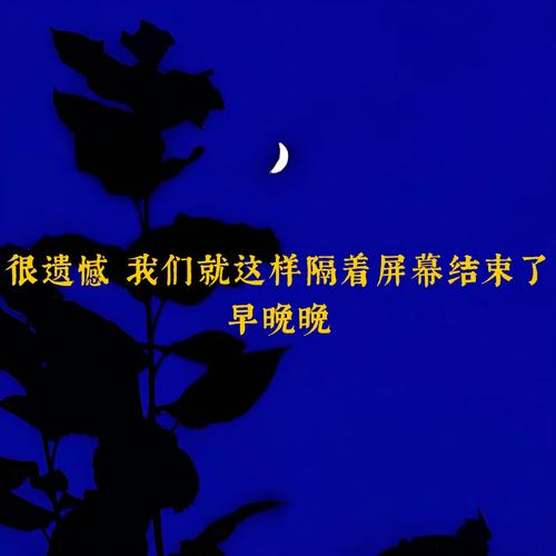 很遗憾 我们就这样隔着屏幕结束了