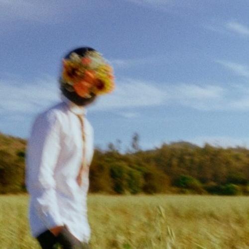 MANIFESTO (Explicit)