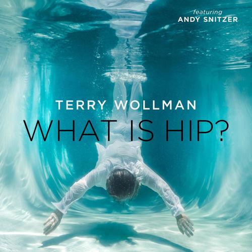 What Is Hip? (feat. Andy Snitzer)
