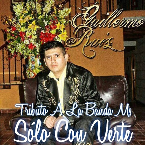 Solo Con Verte Tributo A La Banda Ms