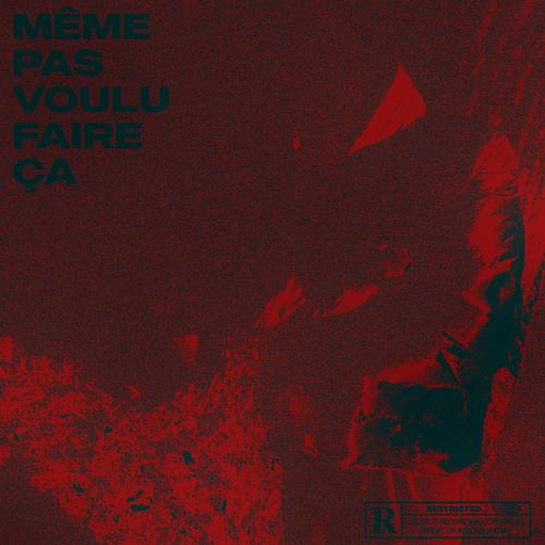 MEME PAS VOULU FAIRE ÇA (Explicit)