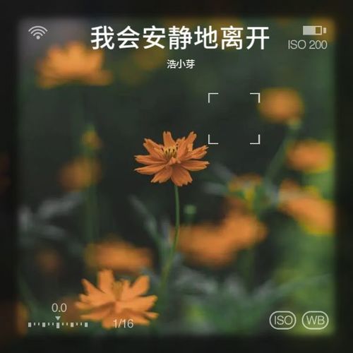 我会安静地离开