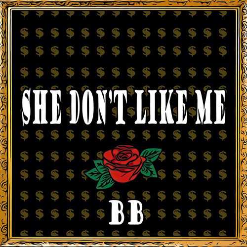 SHE DON'T LIKE ME