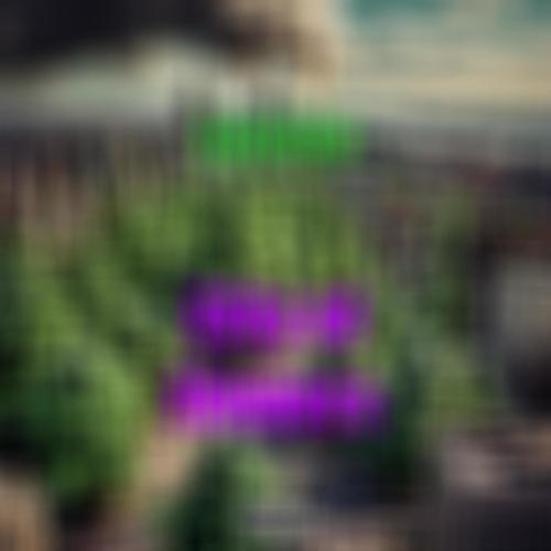 City Of Flowers (feat. Calluptay) [Explicit]