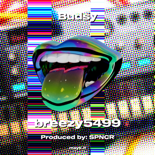 Budsy