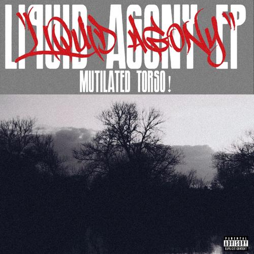 MUTILATED TORSO! (Explicit)