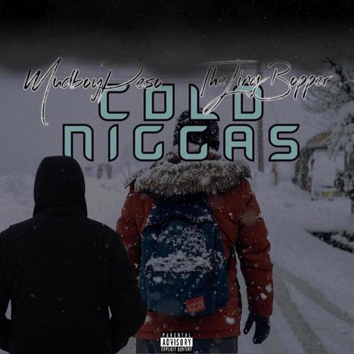 Cold Niggas (feat. DaLingBopper) [Explicit]
