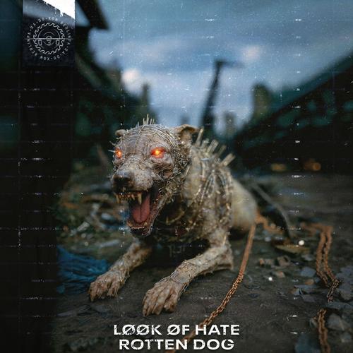 ROTTEN DOG