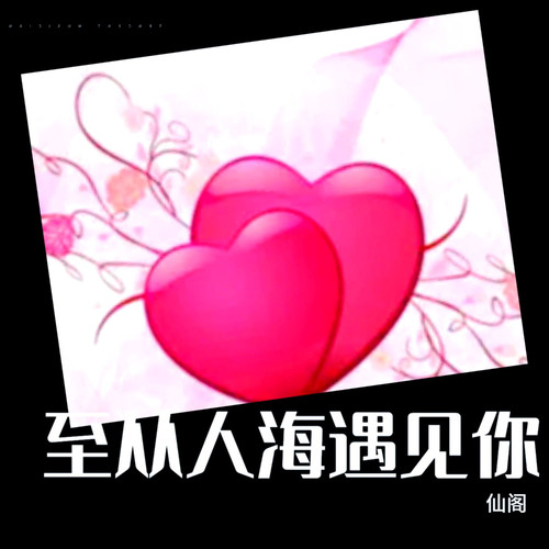 至从人海遇见你