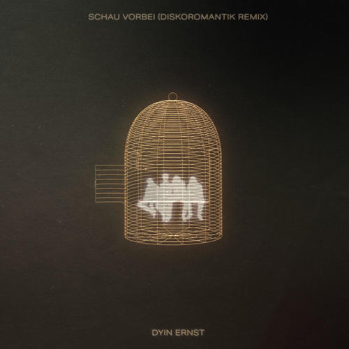 Schau vorbei - Remix