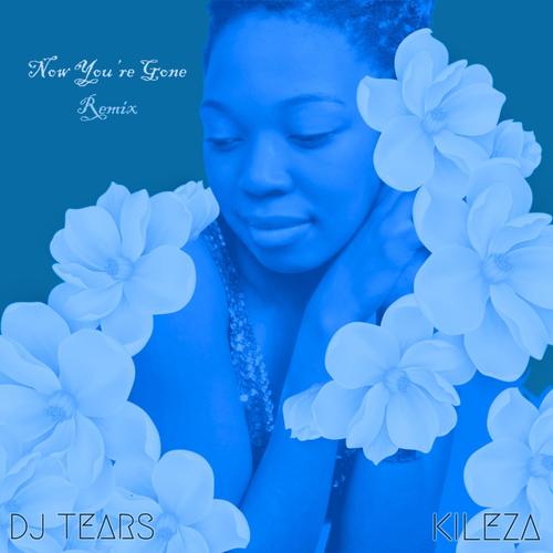 Now You're Gone (DJ Tears PLK Special Mix)
