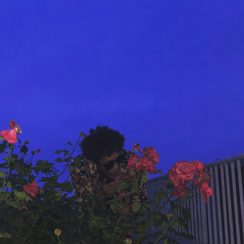 震惊！男子多次深夜守候在此竟是因为..