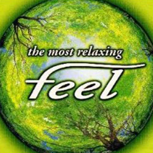 The Most Relaxing Feel vol.1
