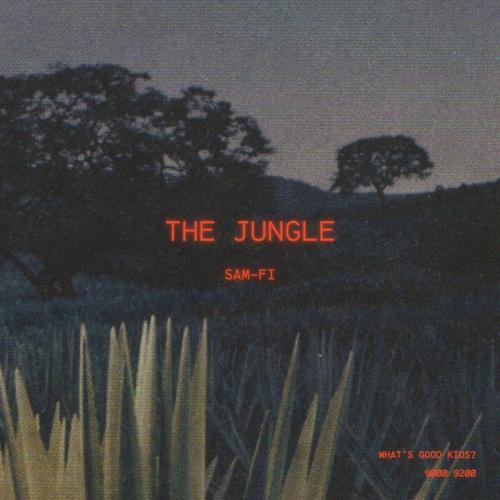 THE JUNGLE (Explicit)