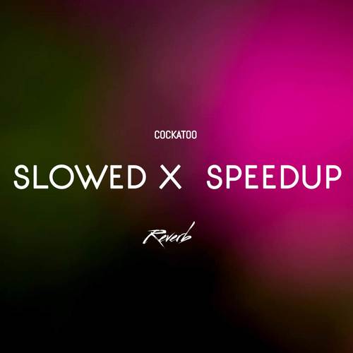 Slowed X Speedup
