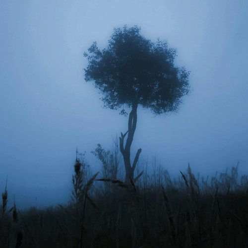 Last Dream（Inst）