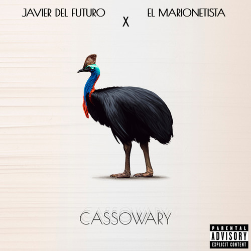 Cassowary (Explicit)