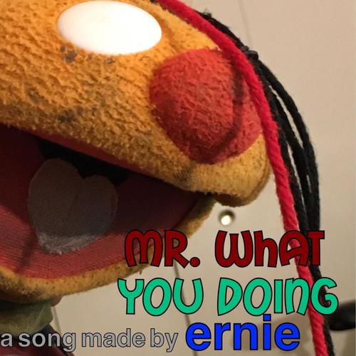 MR. WHAT YOU DOING