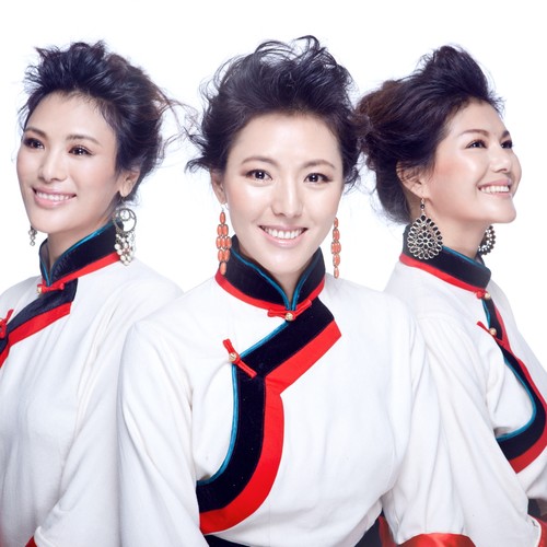 我是你的格桑花