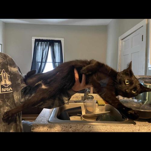 Emergence! (feat. Louverture & Tr3dawggg) [Explicit]