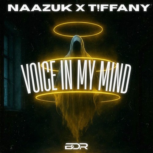 Voice In My Mind