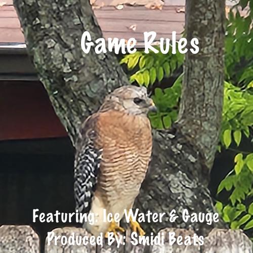 Game Rules (feat. Ice Water & Gauge) [Explicit]