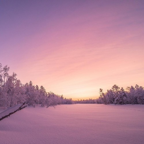 日落西山黑了天家家户户把门关梦中漂落雨湿了身你有没有听说过那只流泪的飞蛾我是不是你寂寞的代替一别半生不过转转又兜兜