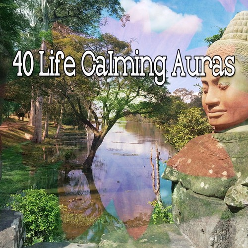 40 Life Calming Auras