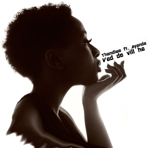 Vad De Vill Ha (feat. Ayanda)