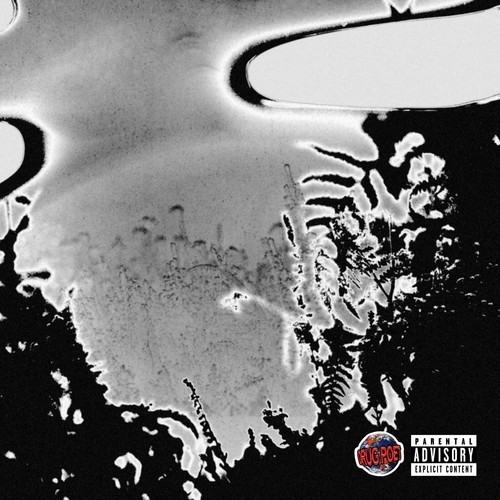 SVJ (Explicit)