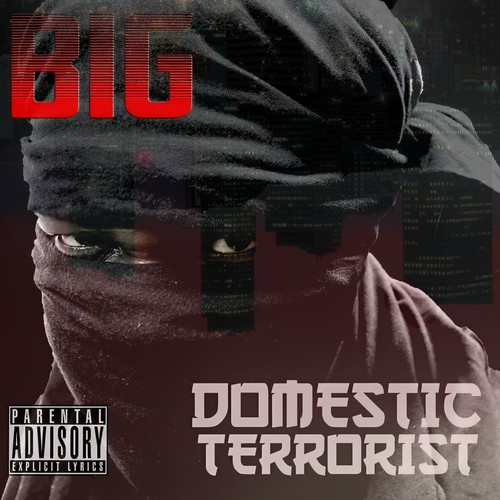 Domestic Terrorist (Album)