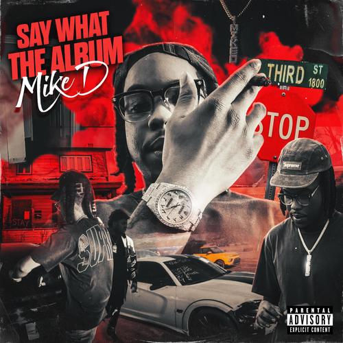 Say What The Album (Explicit)