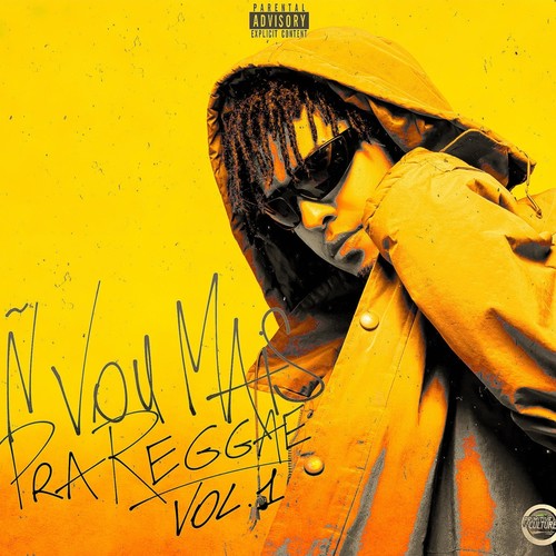 Ñ Vou Mais Pra Reggae, Vol. 1 (Explicit)