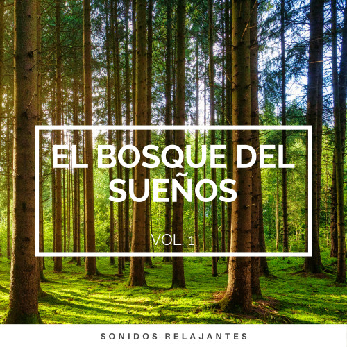 1 Bosque del Sueños vol. 1