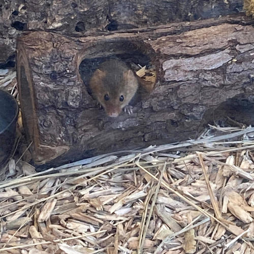 Let Go (Refined Version)