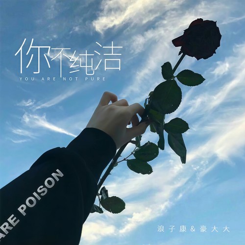 你不纯洁
