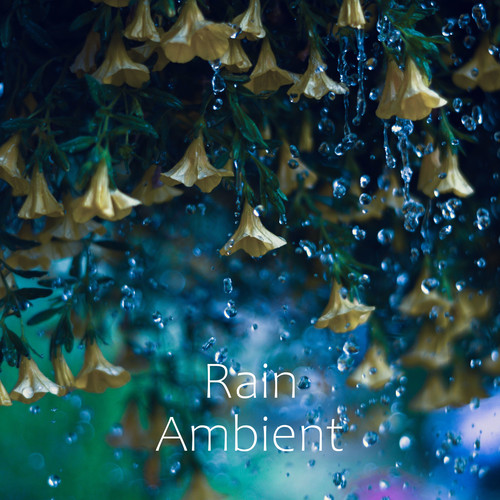 #1 Sleep Collection: Relaxing Rain Sounds and Underwater Dripping