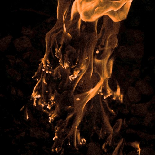 抱歉成为你的负担